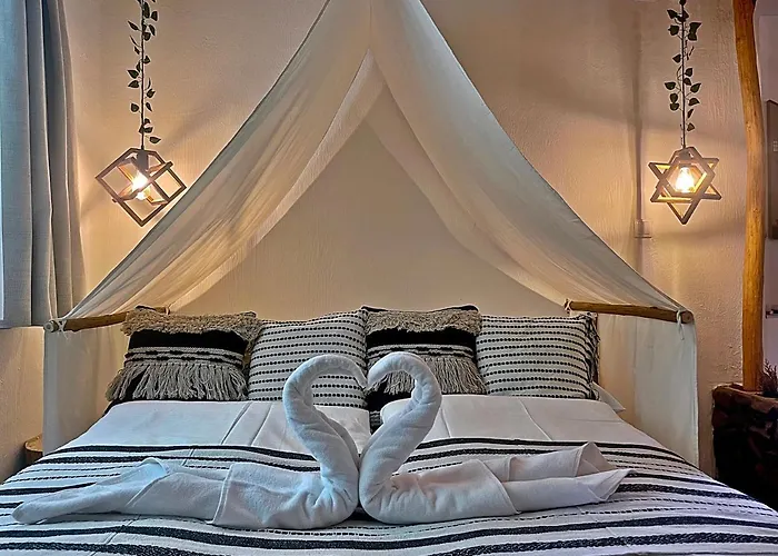 Cityside 木屋 埃格尔